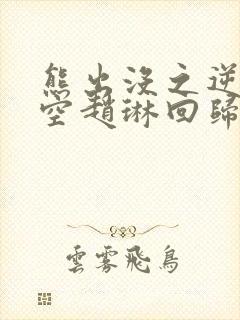 熊出没之逆转时空赵琳回归吗