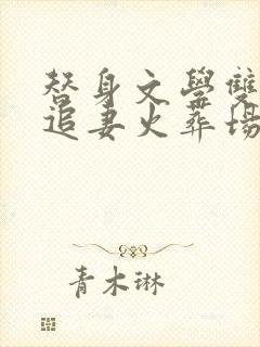 替身文学双男主追妻火葬场推荐