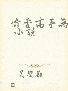 偷香高手无删减 小说
