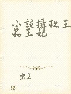 小说摄政王的医品王妃