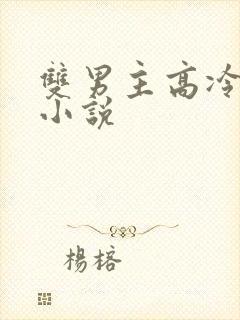 双男主高冷受的小说