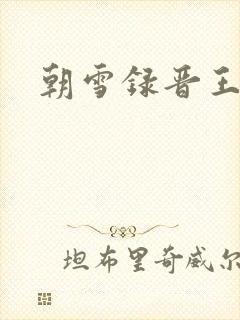 朝雪录晋王是谁