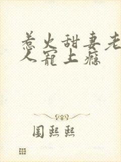 惹火甜妻老公大人宠上瘾