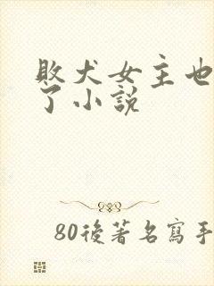 败犬女主也太多了小说