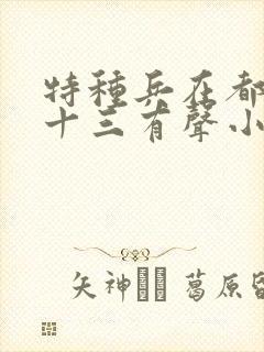 特种兵在都市夜十三有声小说原声