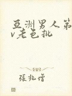 亚洲男人第一av老色批