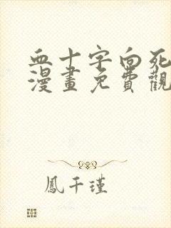 血十字向死而生漫画免费观看