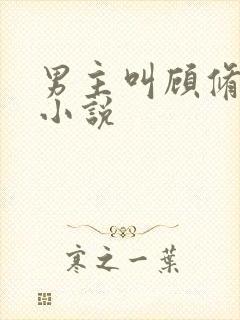 男主叫顾修瑾的小说