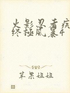 火影忍者疾风传终极风暴4