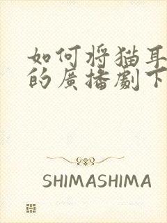 如何将猫耳fm的广播剧下到mp3