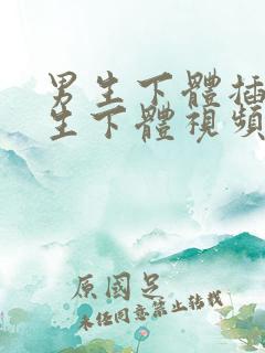 男生下体插进女生下体视频