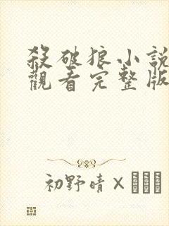 杀破狼小说在线观看完整版免费