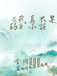 《我真不是故意的》小说