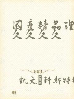 国产精品理论久久久久久