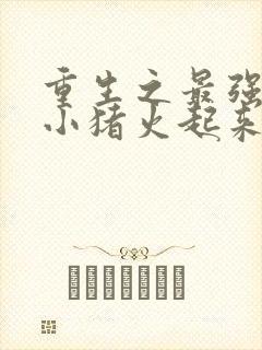 重生之最强人生小猪火起来