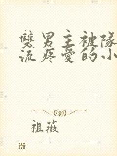 双男主被队友轮流疼爱的小说