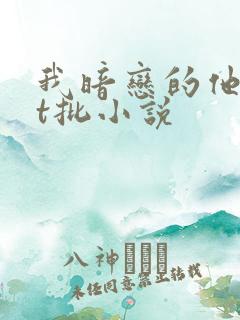 我暗恋的他总在t批小说