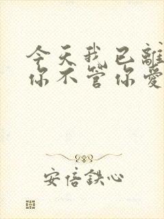 今天我已离不开你不管你爱不爱我歌词