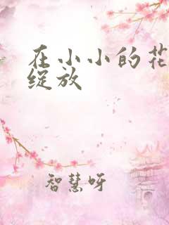 在小小的花蕾处绽放