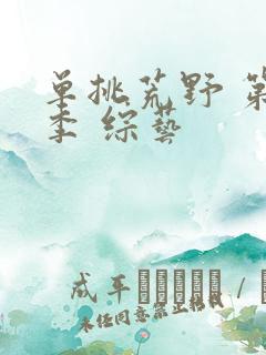 单挑荒野 第二季 综艺