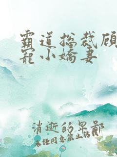 霸道总裁顾总独宠小娇妻