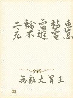 二轮电动车电瓶充不进电怎么办