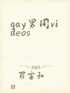 gay男同videos