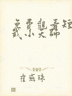 免费观看短剧医武小天师