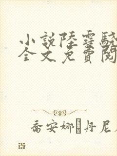 小说陆霆骁宁夕全文免费阅读