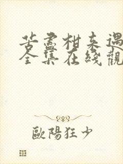 苦尽柑来遇见你全集在线观看免费