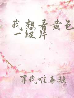 我想看黄色高清一级片