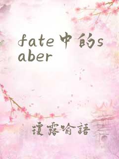 fate中的saber