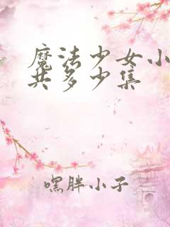 魔法少女小圆一共多少集