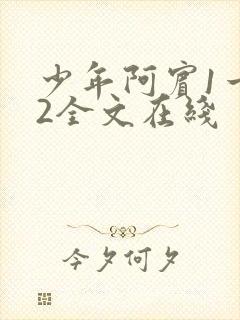 少年阿宾1一72全文在线