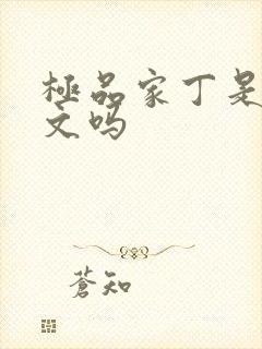 极品家丁是后宫文吗