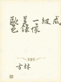 欧美一级成人黄色录像