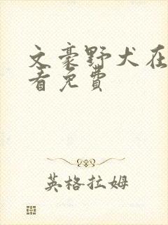 文豪野犬在哪里看免费