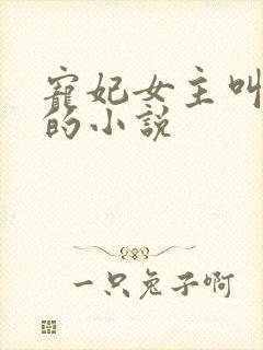 宠妃女主叫薛伶的小说