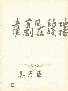 去有风的地方电视剧在线播放