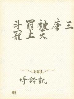 斗罗被唐三哥哥宠上天