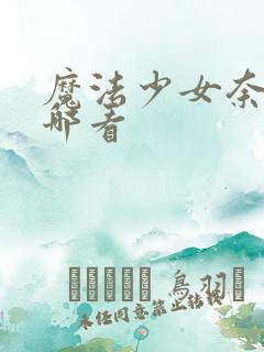 魔法少女奈叶在哪看