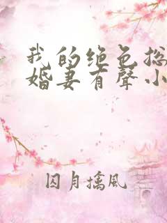 我的绝色总裁未婚妻有声小说