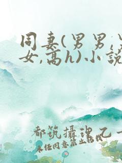 同妻(男男,男女,高h)小说