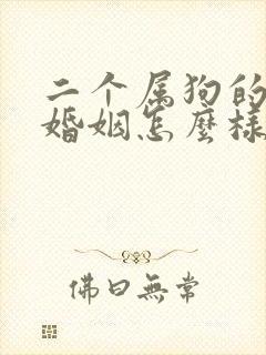 二个属狗的夫妻婚姻怎么样