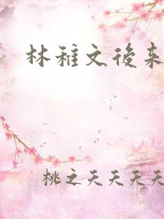 林稚文后来结局