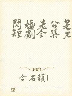 闪婚老公是首富短剧全集免费版