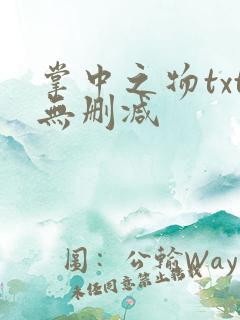 掌中之物txt无删减