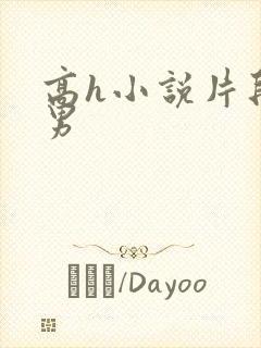 高h小说片段男男