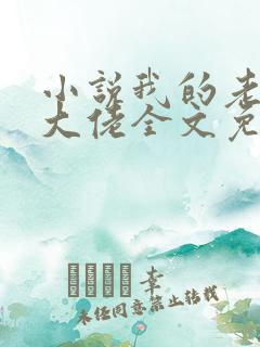 小说我的老公是大佬全文免费阅读