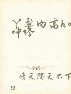 丫鬟肉高h喷汁呻吟